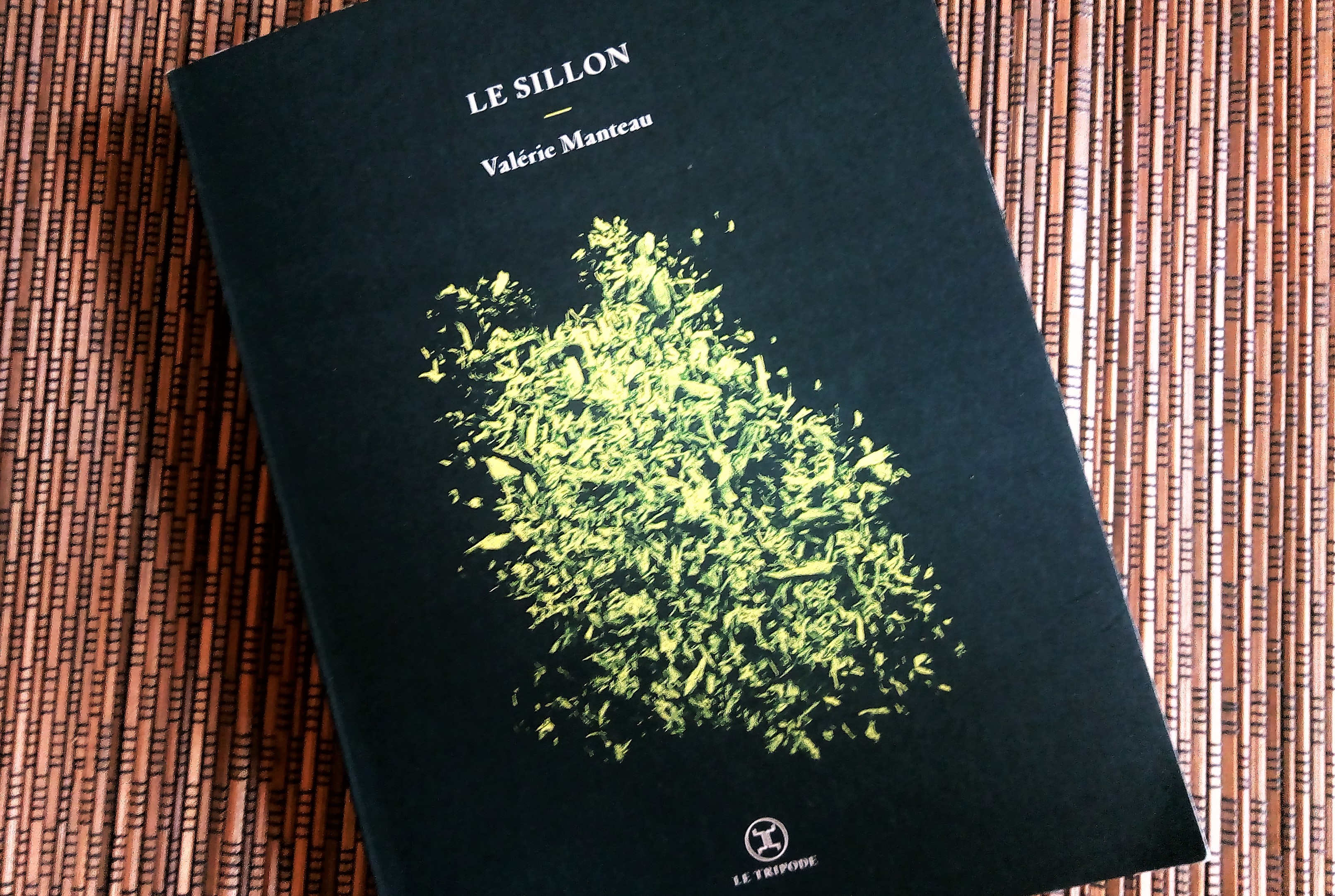 Couverture du livre le Sillon de Valérie manteau : des feuillages phosphorescents sur fond noir. Logo de l'éditeur Le Tripode